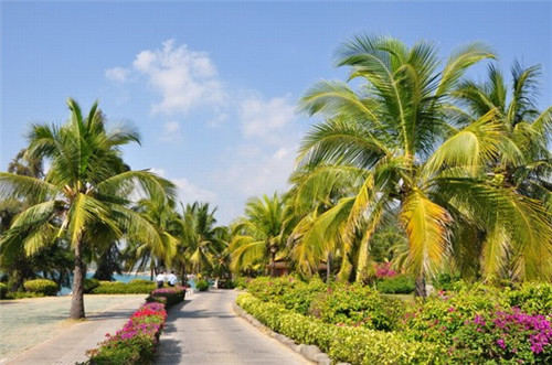 比优福小份烤鱼