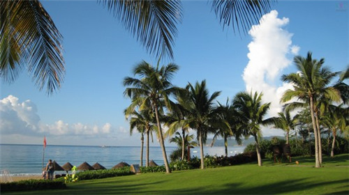 馋小鱼小份烤鱼