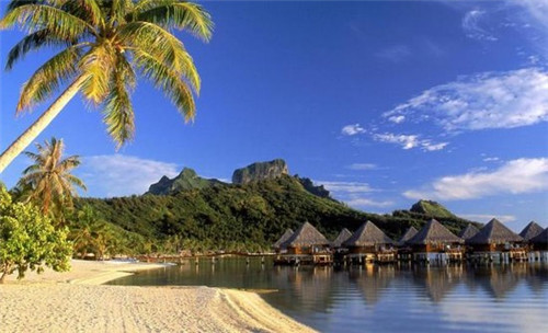 鸭架加盟投资开店什么品牌好，鸭架有什么好吃的