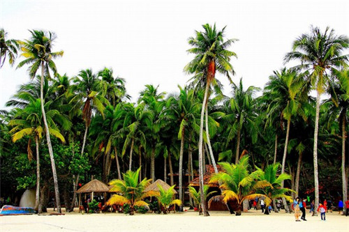 菲律宾雪糕加盟费多少钱一个月，菲律宾雪糕加盟费多少