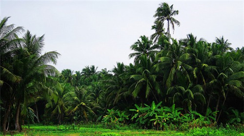美睫美甲工作室怎么经营才客源多，美睫店创业怎么卖美甲产品