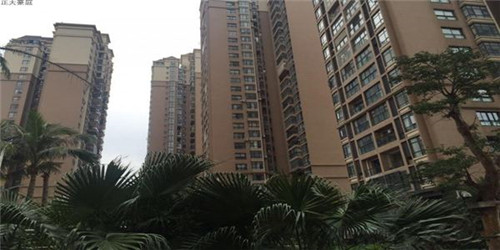 盲品英文（盲果的英语怎么说）