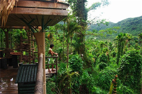 二三其德相似的成语（二三其德的成语意思）